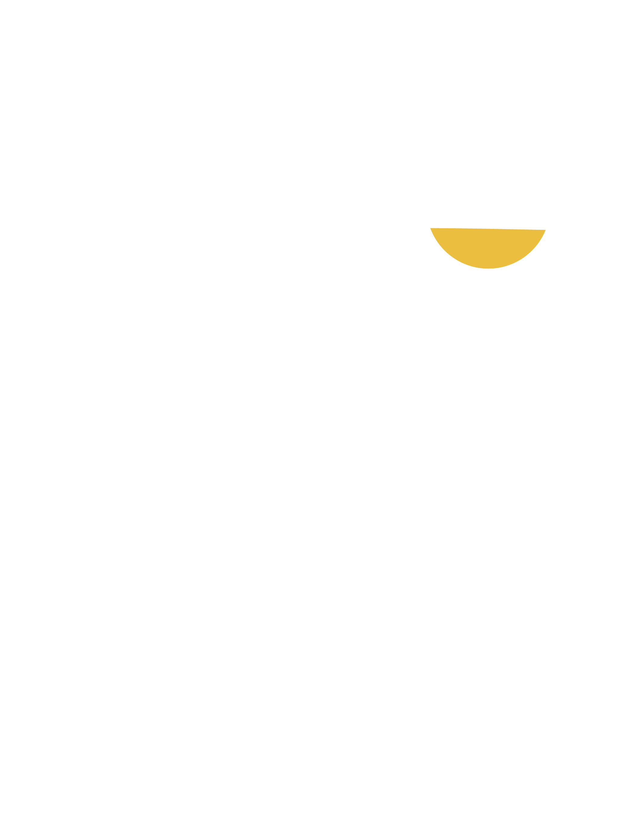C&C Logo